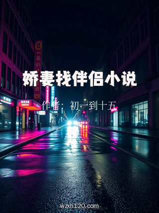 娇妻找伴侣小说