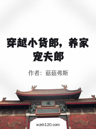 穿越小货郎,养家宠夫郎