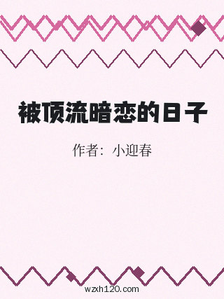 被顶流暗恋的日子