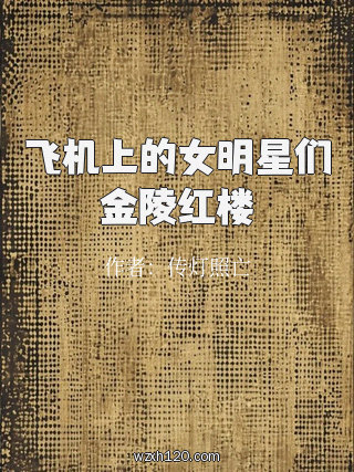 飞机上的女明星们金陵红楼