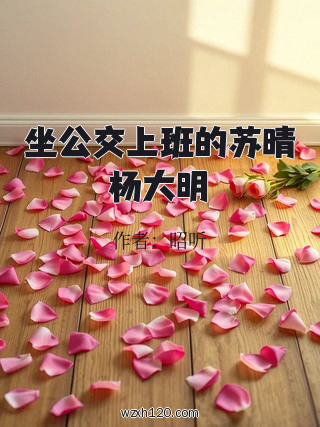坐公交上班的苏晴杨大明