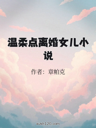 温柔点离婚女儿小说