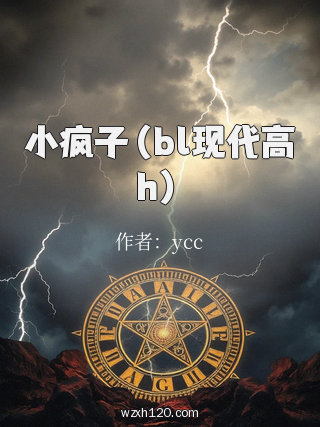 小疯子(bl现代高h)