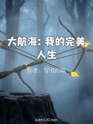 大航海:我的完美人生