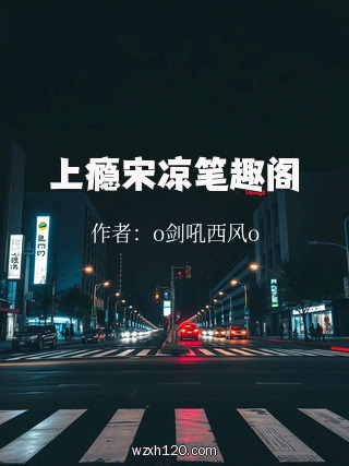上瘾宋凉笔趣阁
