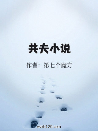 共夫小说
