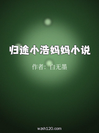 归途小浩妈妈小说