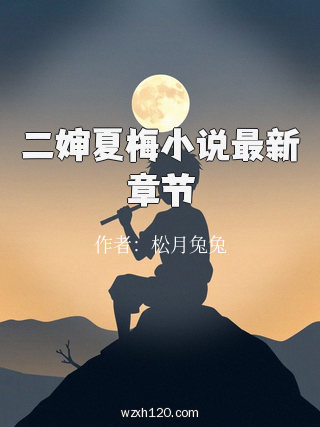 二婶夏梅小说最新章节