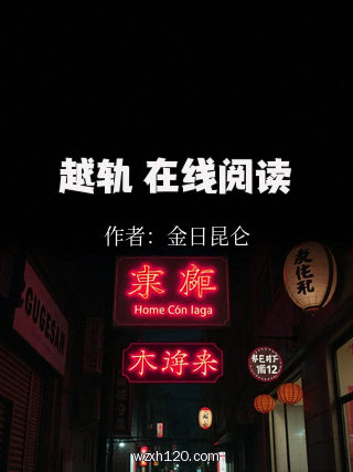 越轨 在线阅读