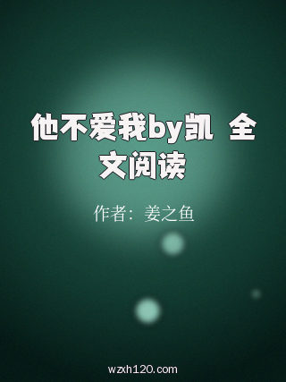 他不爱我by凯琍全文阅读