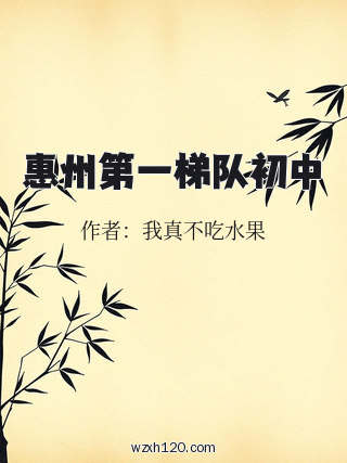 惠州第一梯队初中