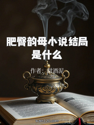 肥臀韵母小说结局是什么