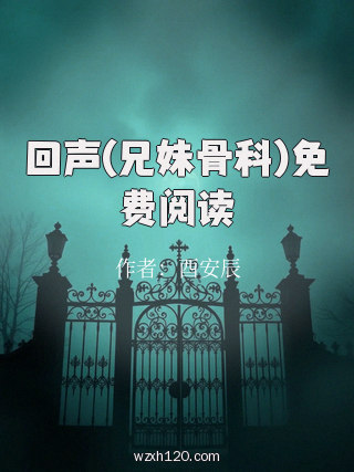 回声(兄妹骨科)免费阅读