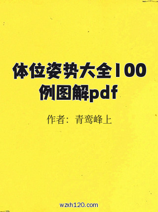 体位姿势大全100例图解pdf