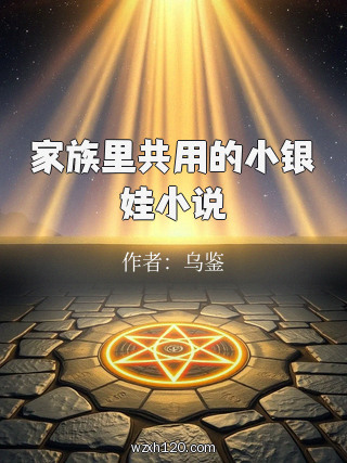 家族里共用的小银娃小说