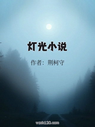 灯光小说