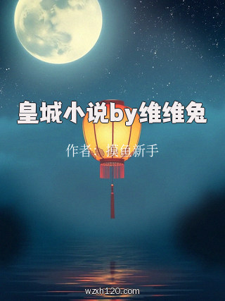 皇城小说by维维兔