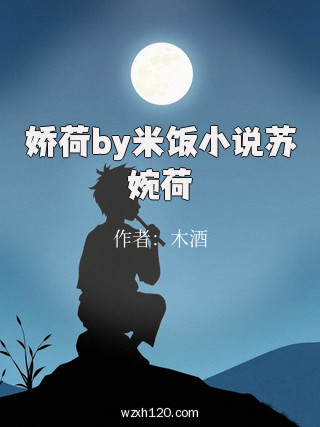 娇荷by米饭小说苏婉荷