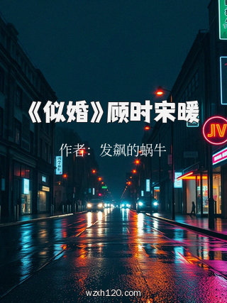 《似婚》顾时宋暖