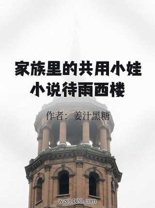 家族里的共用小娃小说待雨西楼