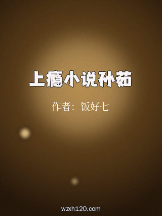 上瘾小说孙茹