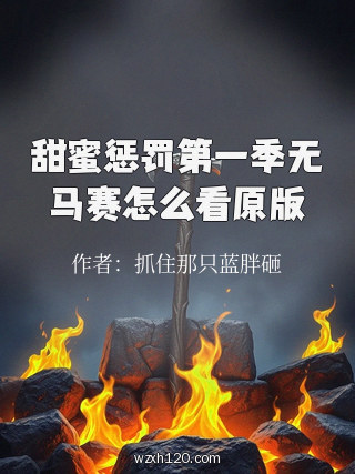 甜蜜惩罚第一季无马赛怎么看原版
