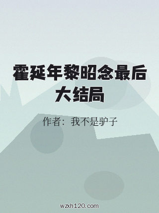 霍延年黎昭念最后大结局