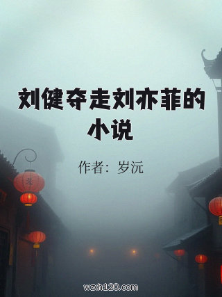 刘健夺走刘亦菲的小说