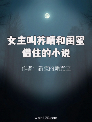 女主叫苏晴和闺蜜借住的小说