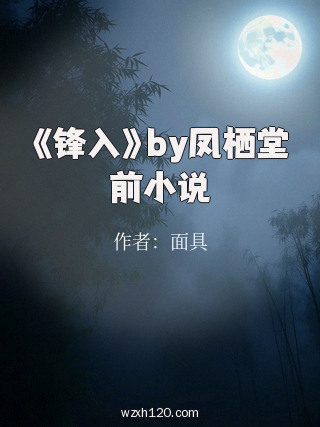 《锋入》by凤栖堂前小说