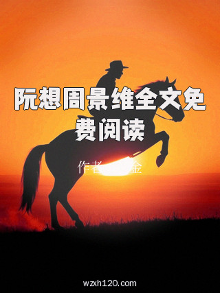 阮想周景维全文免费阅读