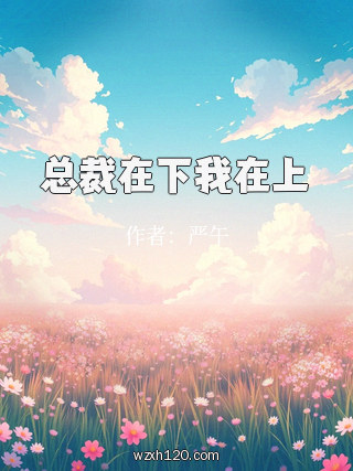 总裁在下我在上