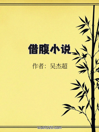 借腹小说