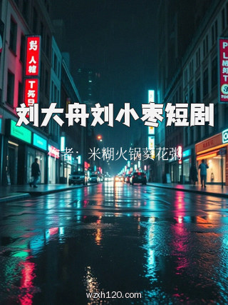 刘大舟刘小枣短剧