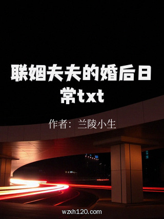 联姻夫夫的婚后日常txt