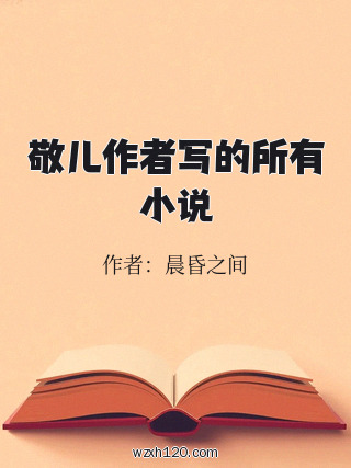 敬儿作者写的所有小说