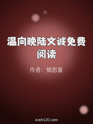 温向晚陆文诚免费阅读