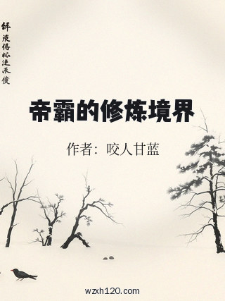 帝霸的修炼境界