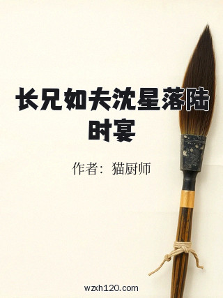 长兄如夫沈星落陆时宴