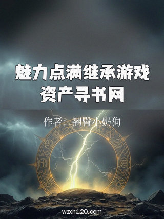 魅力点满继承游戏资产寻书网