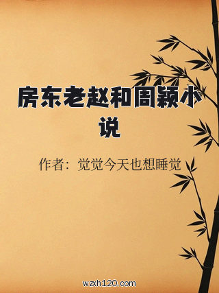 房东老赵和周颖小说