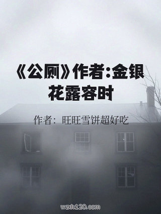 《公厕》作者:金银花露容时