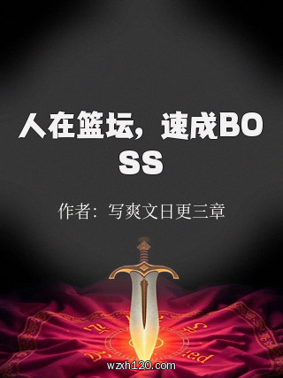 人在篮坛,速成BOSS