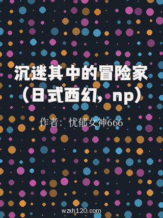 沉迷其中的冒险家（日式西幻，np）
