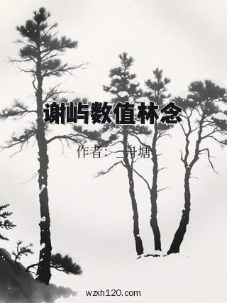谢屿数值林念