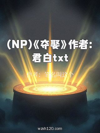 (NP)《夺娶》作者:君白txt