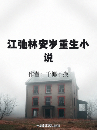 江弛林安岁重生小说