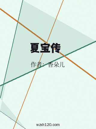 夏宝传Ⅲ