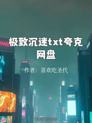极致沉迷txt夸克网盘