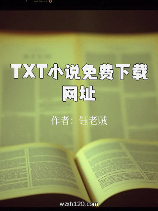 TXT小说免费下载网址